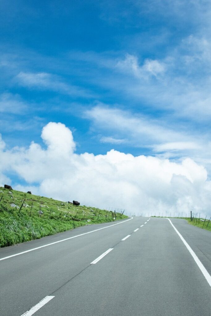 An asphalt road winding through a grassy hillside with grazing cattle under blue skies