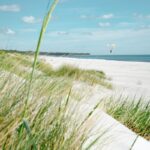 A seagull flying over a white sand beach with tall dune grass.