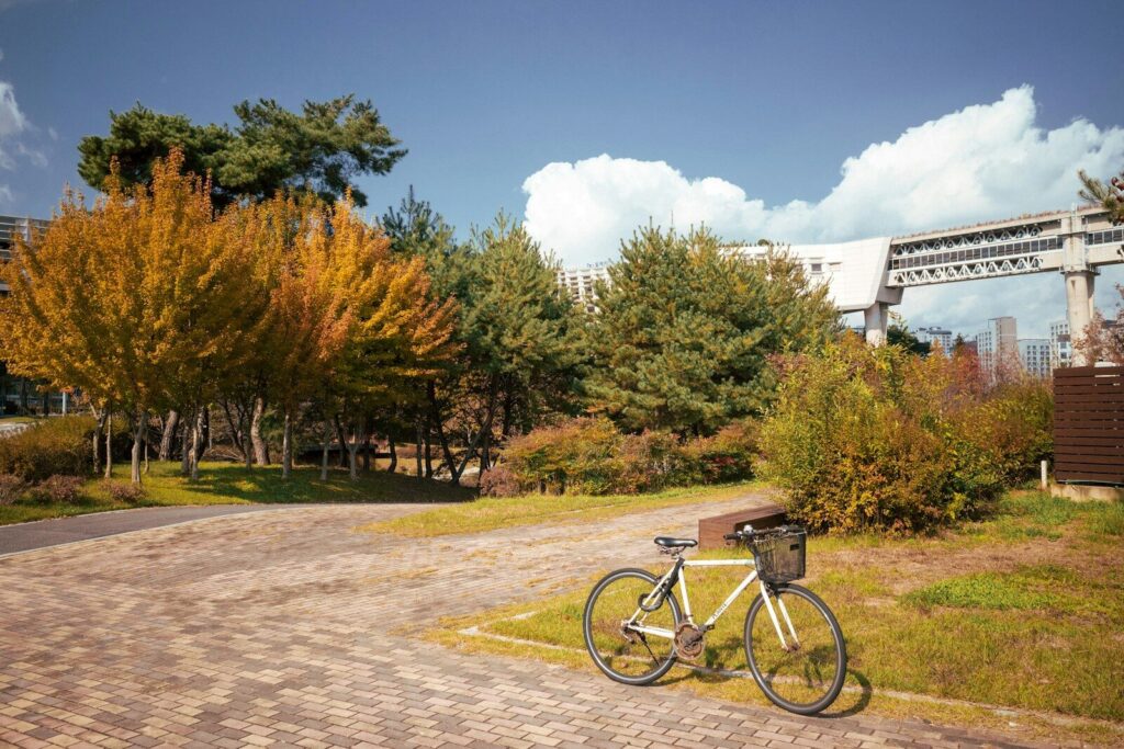 A bicycle parked on a path near trees in autumn
